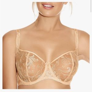 Fantasie Women's Allegra Underwired Vertical Seam Purple Sheer Satin Bra 32DDD